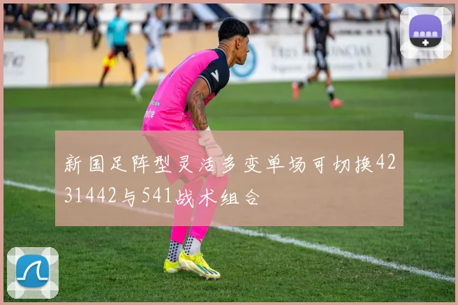 新国足阵型灵活多变单场可切换4231442与541战术组合
