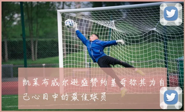 凯莱布威尔逊盛赞约基奇称其为自己心目中的最佳球员