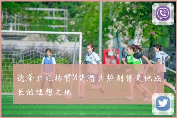 德泽尔比称赞M费潜力热刺将是他成长的理想之地