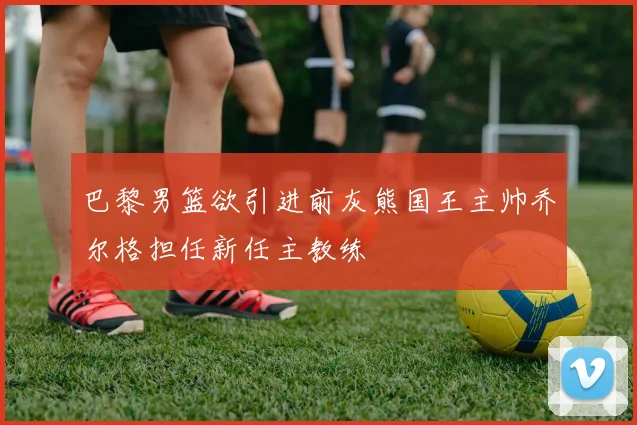 巴黎男篮欲引进前灰熊国王主帅乔尔格担任新任主教练