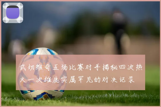 武切维奇五场比赛对手揭秘四次热火一次雄鹿实属罕见的对决记录